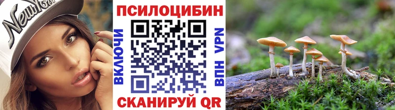Купить закладки  Малая Вишера  Псилоцибиновые грибы прущие грибы 
